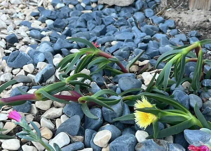 In * Maspalomas (Gran Canaria)